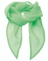 Women`s Colours Collection Chiffon Scarf