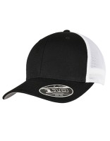 110 Mesh 2-Tone Cap