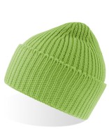 AT100 Oak Beanie