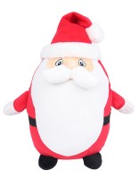 Zippie Father Christmas