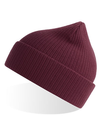 AT116 Nelson Beanie