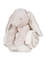 Rabbit and Blanket